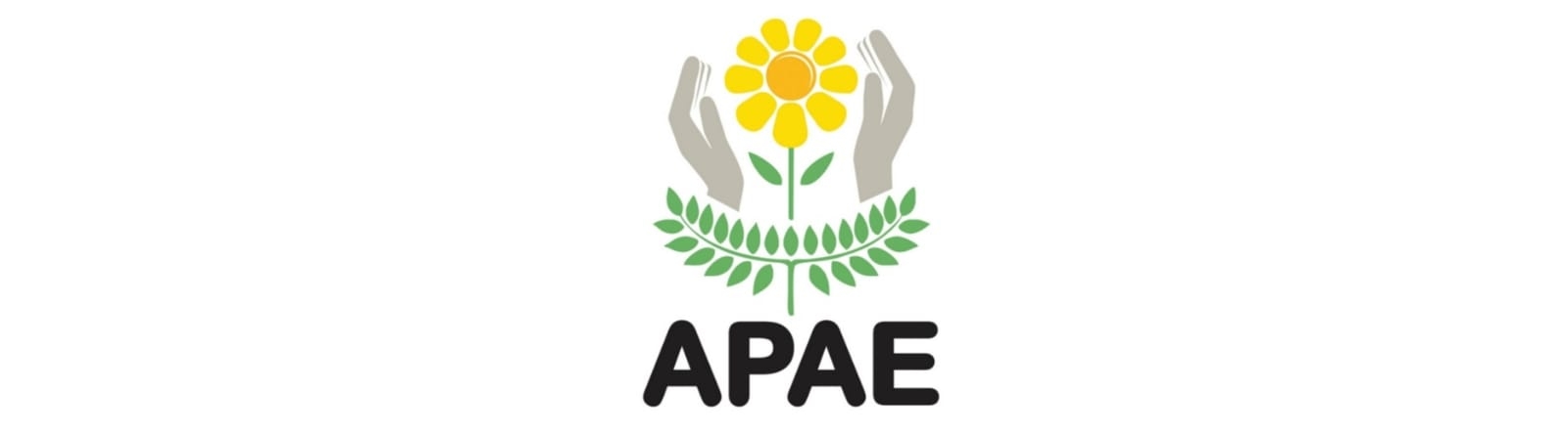 APAE - Peqaueno Lar